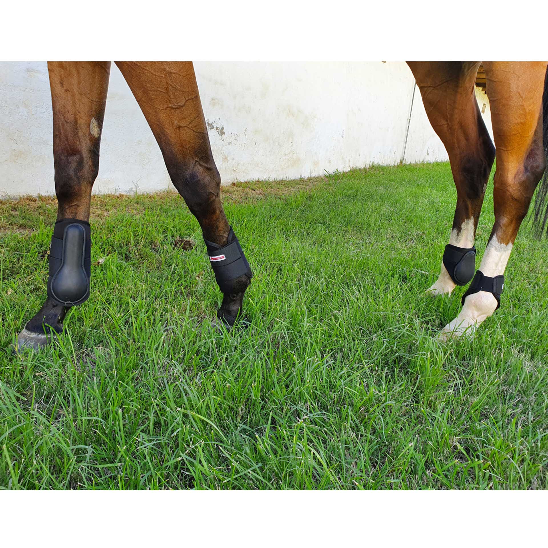 Brushing Boot Neoprene Solo Set